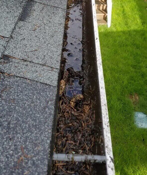 Gutter-Cleaning-Services-Danshaplandscape-before
