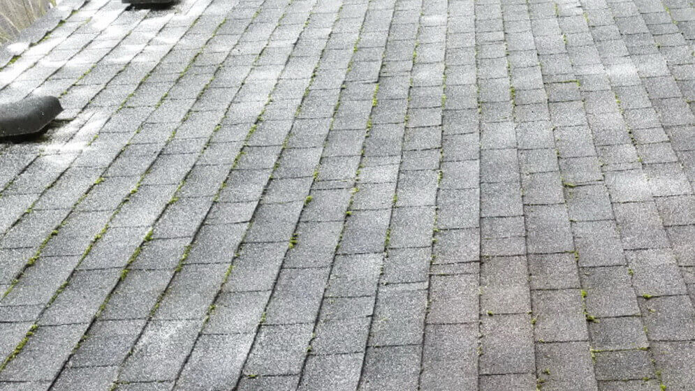 Gutter-Cleaning-danshaplandscape-after