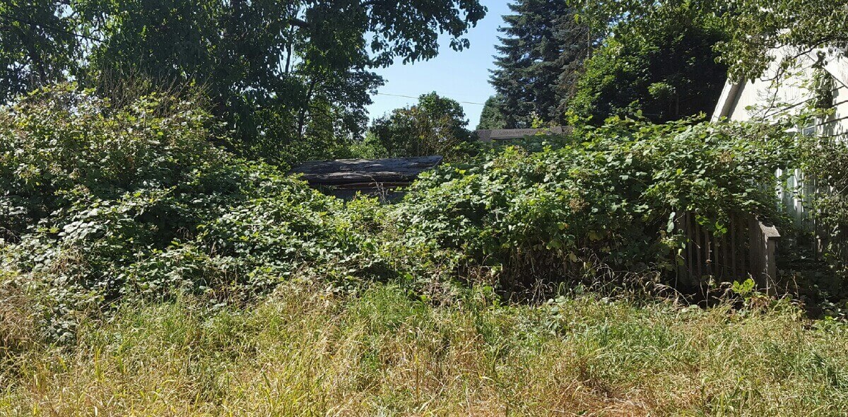 Land-Clearing-before-danshaplandscape