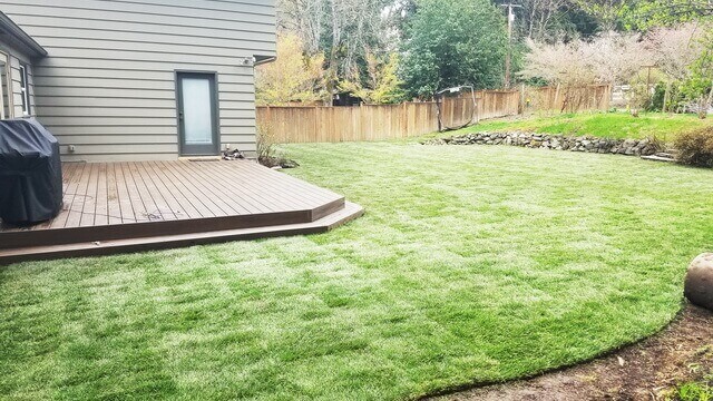 Sod-Installation-danshaplandscape-640